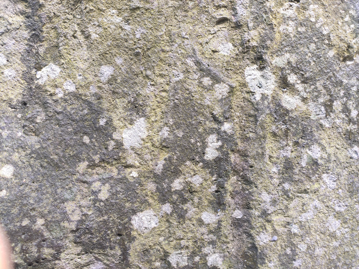 Текстура камня