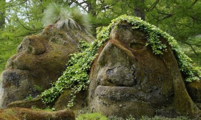 Фото взято из интернета 