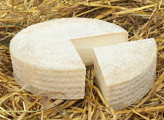 Сыр из козьего молока