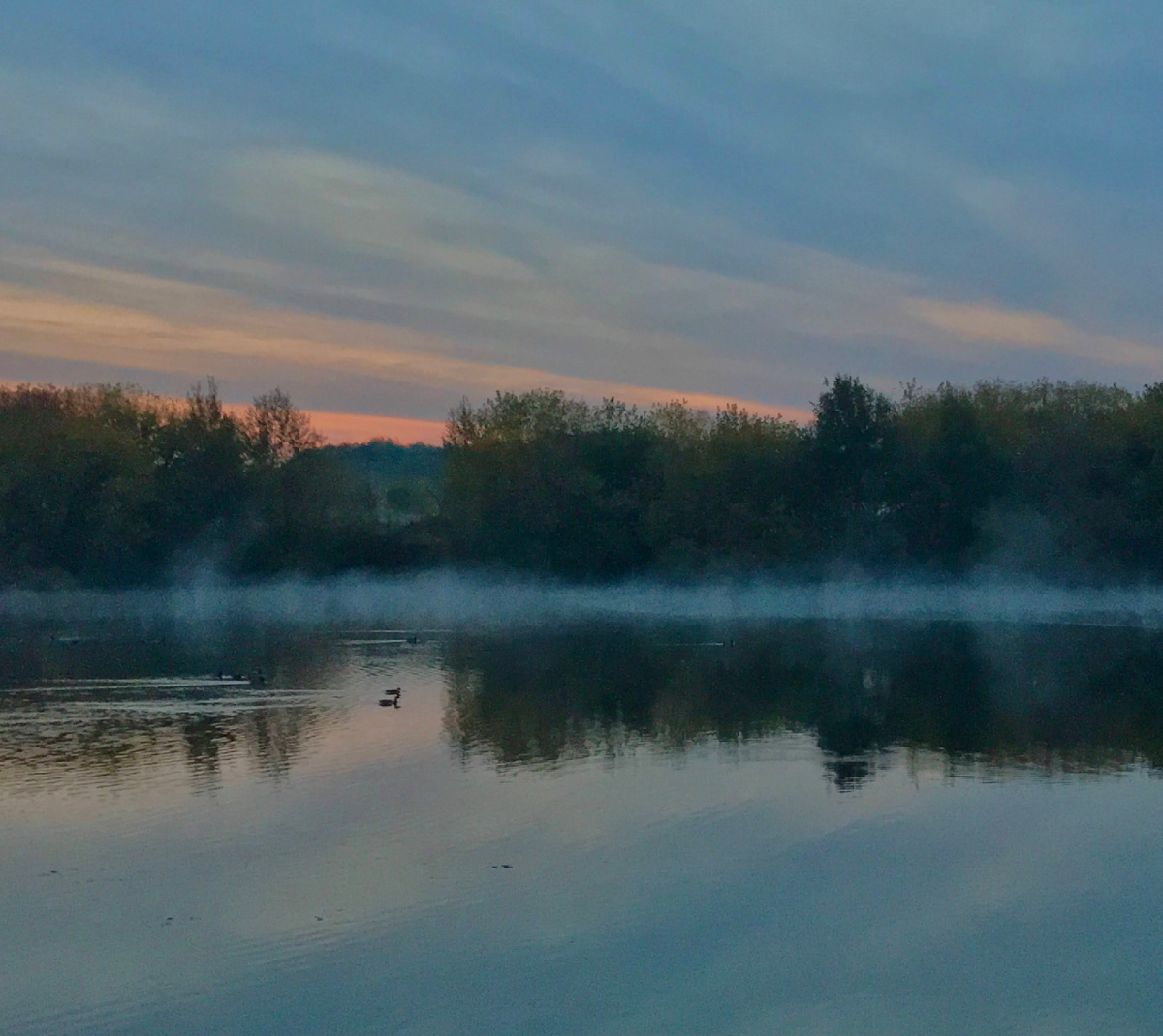 Утро в парке Коломенское