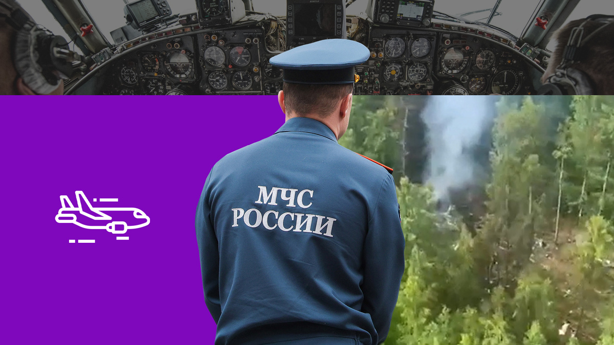 Фото: Коллаж 78.ru: Росавиация, vk.com/Авиакомпания «Ангара», Shatokhina Natalia/globallookpress.com, flaticon.com/Futuer