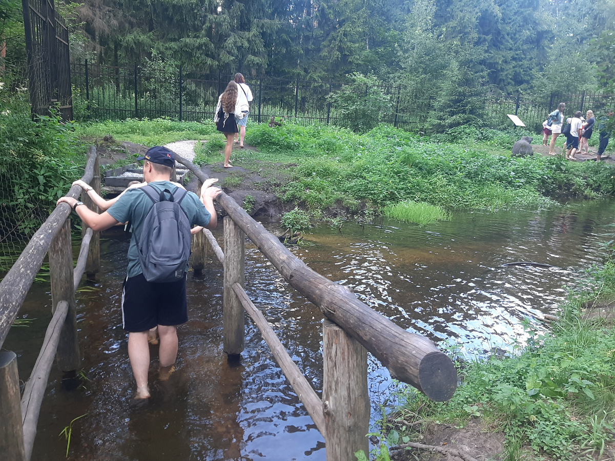В том году мы посетили босоногую тропу на Лосином острове. А что делали в этом - узнаете в одной из следующих статей