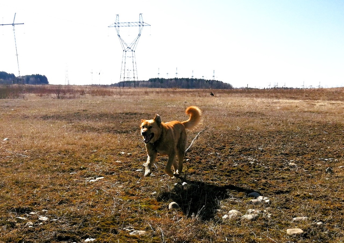 Дана очень красивая
