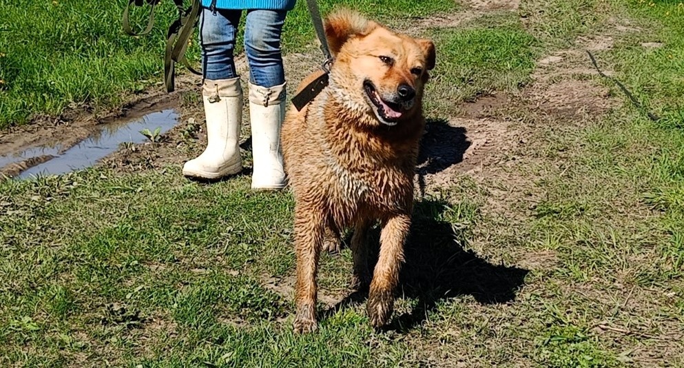 А еще озорная