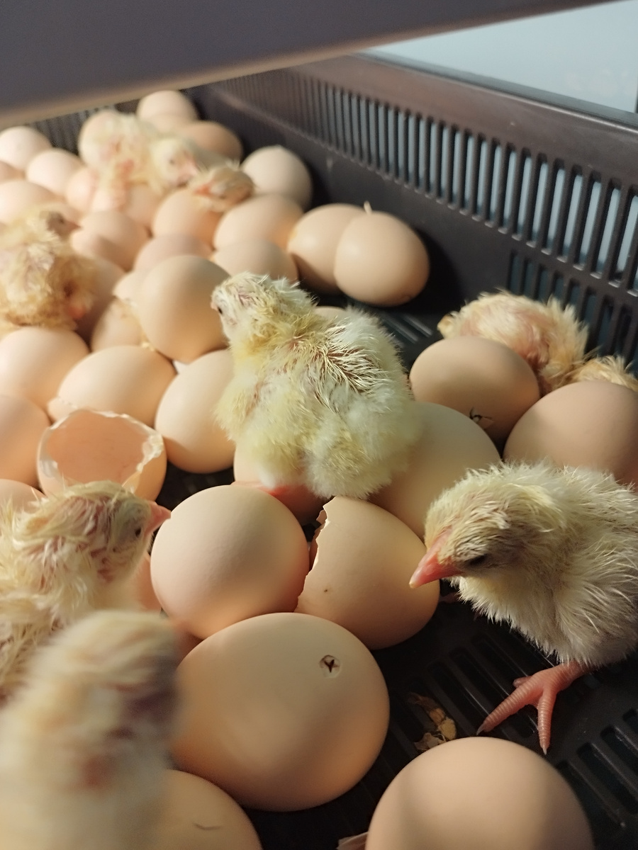 Фото автора канала