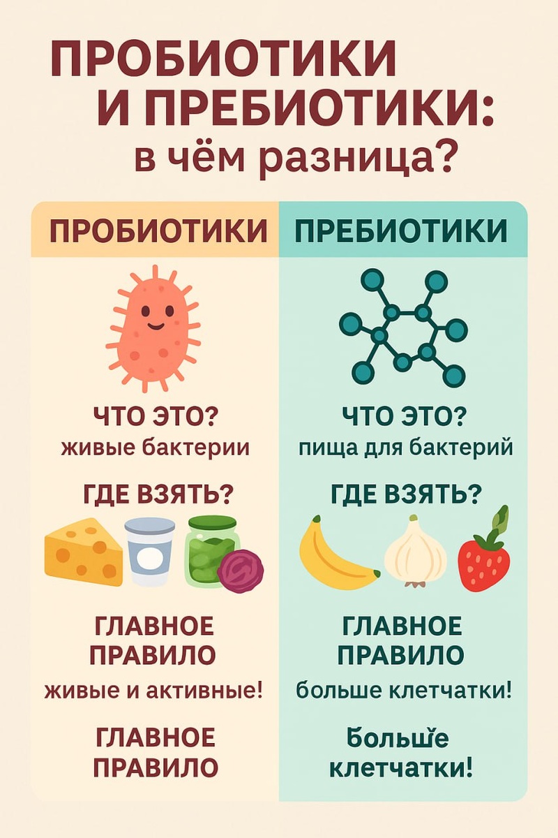 Пробиотик vs пребиотик: битва за ваш кишечник

Представьте, что кишечник — это город. Пробиотики — новые жители‑специалисты, а пребиотики — их еда и зарплата. Без одного другой не выживет.

Сцена 1: Кто такие пробиотики
Живые бактерии Lactobacillus, Bifidobacterium.

Поступают из ферментированных продуктов.

Временная виза: живут 2–3 дня, потом «смываются».

Сцена 2: Что такое пребиотики
Клетчатка (инулин, пектин, резистентный крахмал).

Человек их не переваривает, а микробы — обожают.

Перебродив, выделяют короткоцепочные кислоты → снижают воспаление и питают стенку кишечника.

Мини‑комикс «Живой йогурт попал в метро»
Пробиотик выходит на станции «Толстая кишка», ищет еду. Пребиотик‑банан пританцовывает — вместе организуют вечеринку.

Блок «Сделай сегодня»
Завтрак	Обед	Ужин
Кефир + овсянка (пробио + пребио)	Мисо‑суп + гречка + зелёный лук	Квашеная капуста + запечённая спаржа

Миф‑крушилка
Пить пробиотики без пребиотиков → гости пришли, а стол пуст.

Сырые овощи = достаточно? Нет, резистентный крахмал образуется при остывании картофеля, риса, овса.

Финиш‑челлендж
Выбирайте свою пару PRO + PRE, тестируйте 3 дня, отмечайте изменения: вздутие ↓? энергия ↑? Поделитесь в комментариях, победил ли король или королева!
