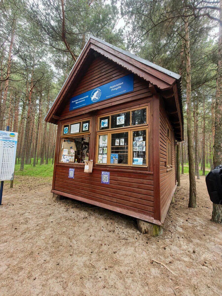 Полевой стационар Фрингилла