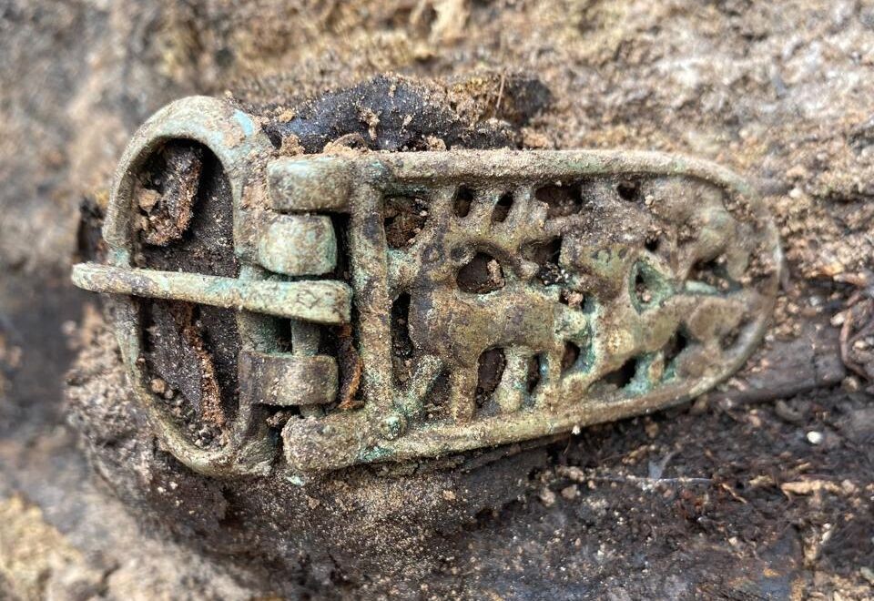 Пряжка  с литыми изображениями животных