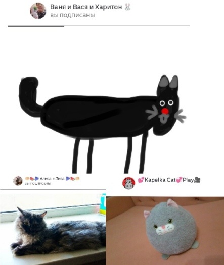 У всех на каналах есть свои коти 🐱 я решила сделать 2 друзей про которых я сегодня расскажу 😊