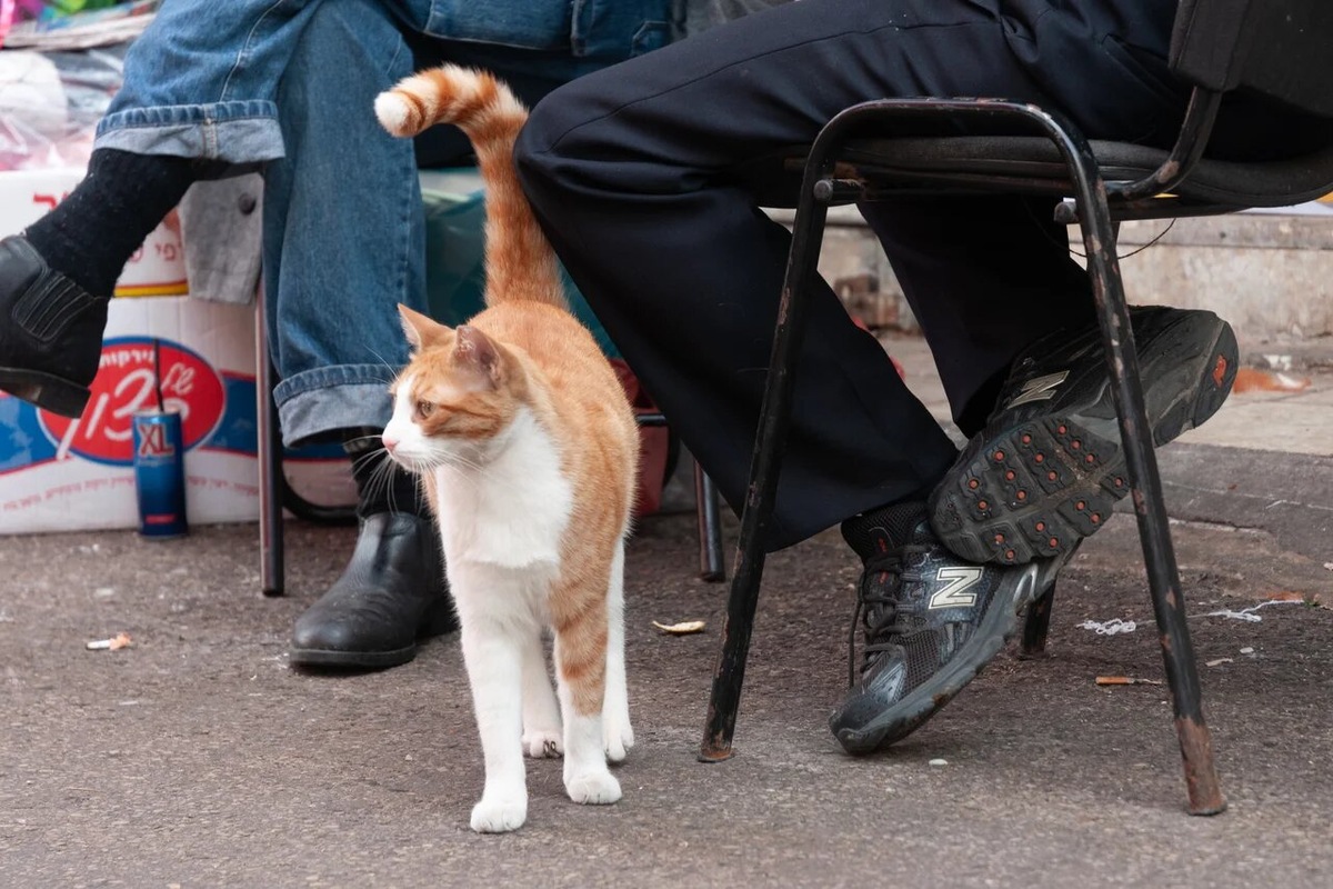 Фото прислала Анна Краснова