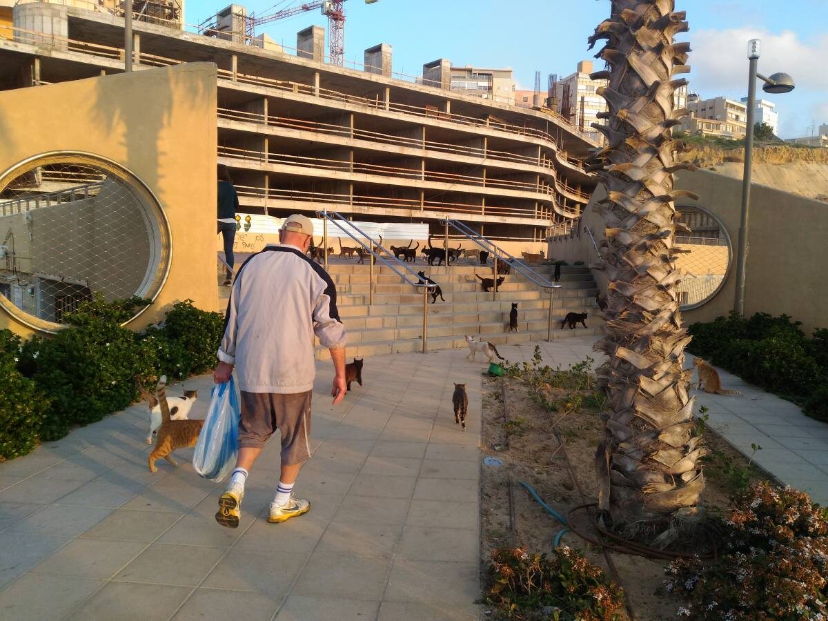 Фото прислала Александра Егорова