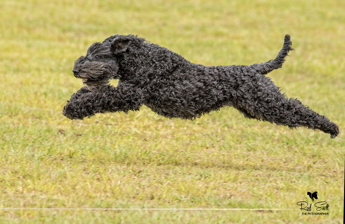-Ты подожди, а мне надо срочно пожевать живую жвачку!