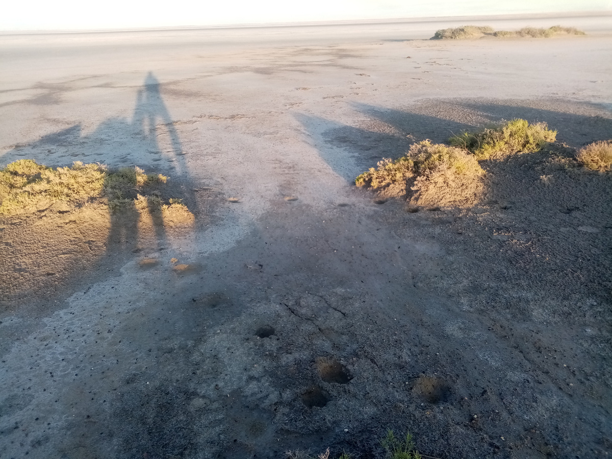 Грязь на озере Кудайколь