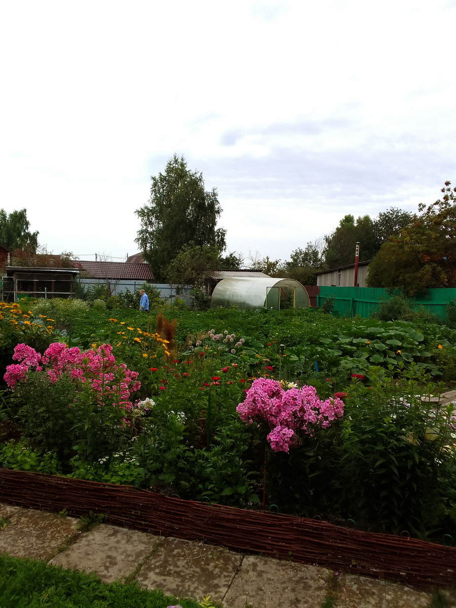 Председатель, воон вдали, поместье обходит, работу мне ищет) 