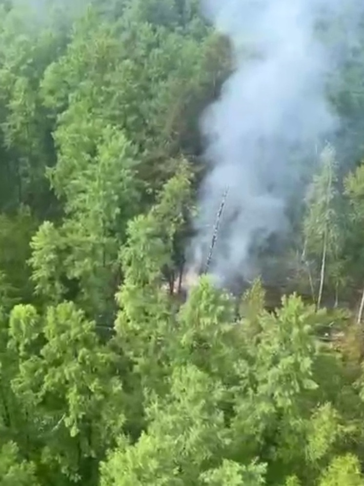 ФОТО: КАДР ИЗ ВИДЕО
