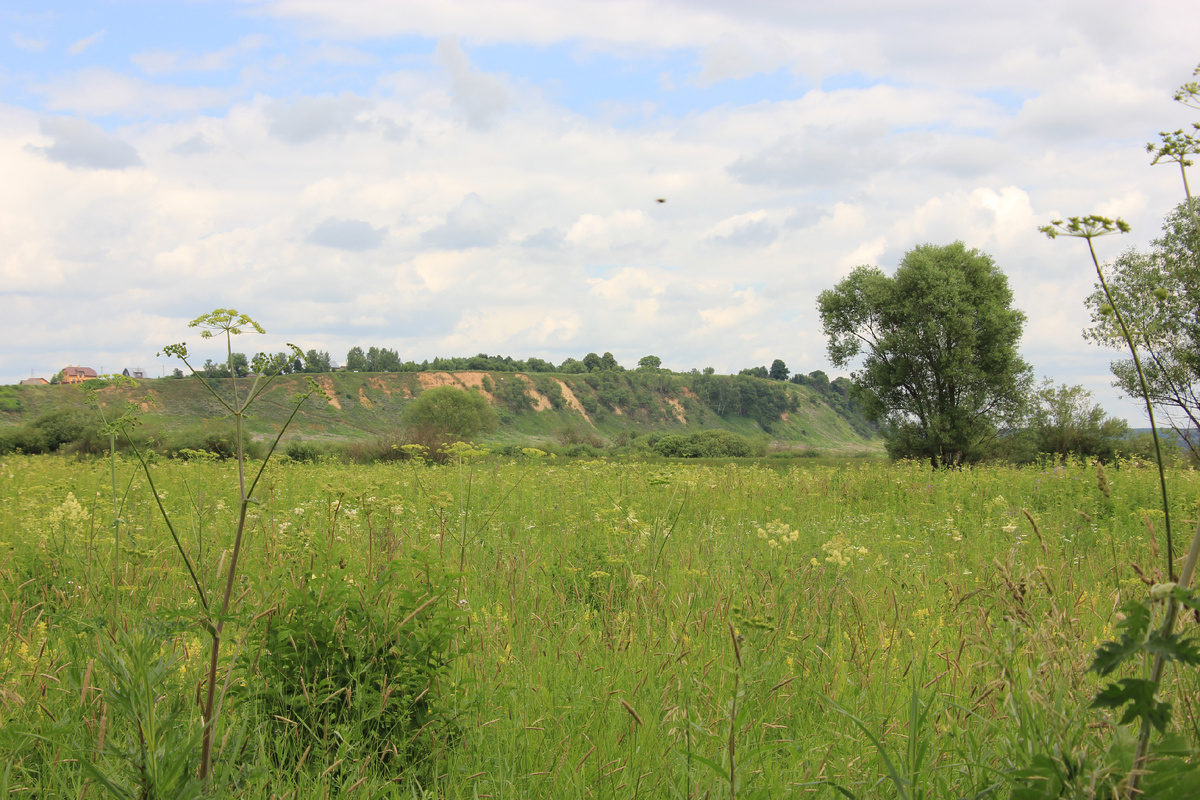 Вид на высокий берег озера Тишь