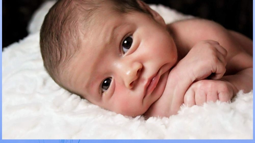 Фото из открытых источников.