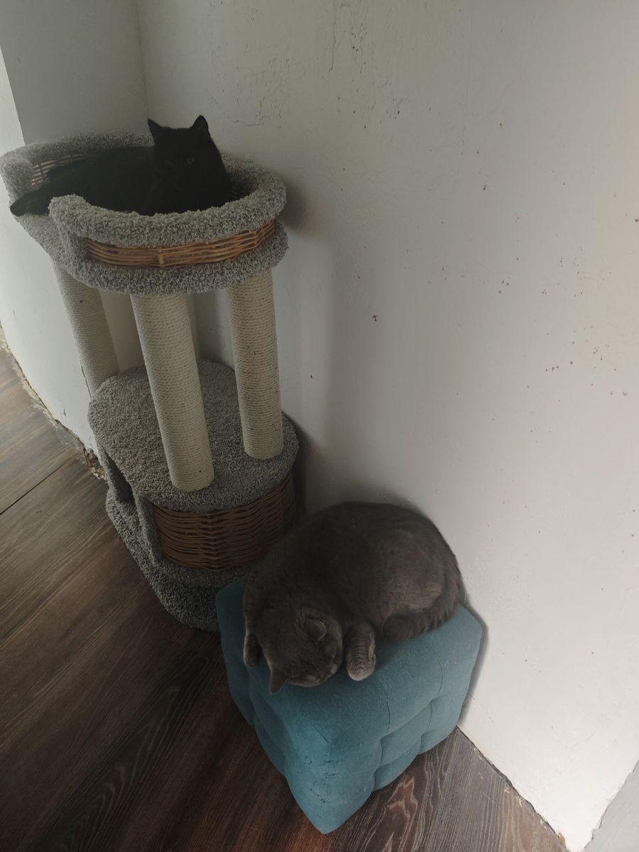 Морфей и его новые друзья