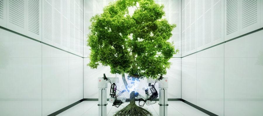 Источник изображения: https://itleaders.vc/ekologicheskie-startap-proekty-vse-cha/ 
