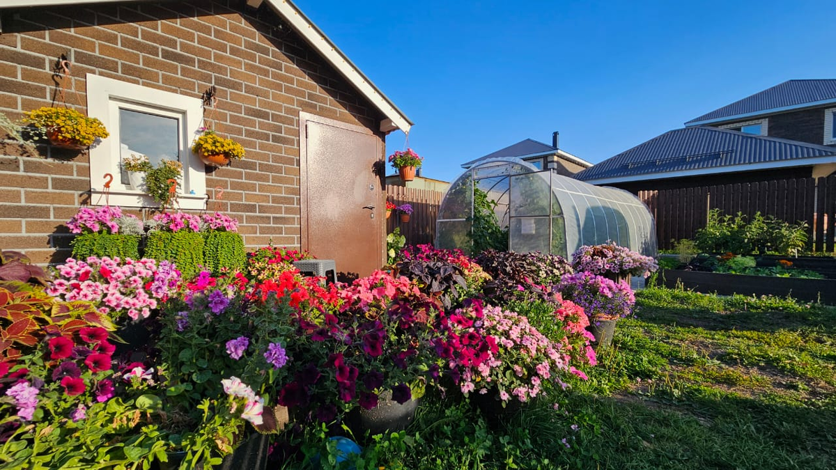 Наш участок