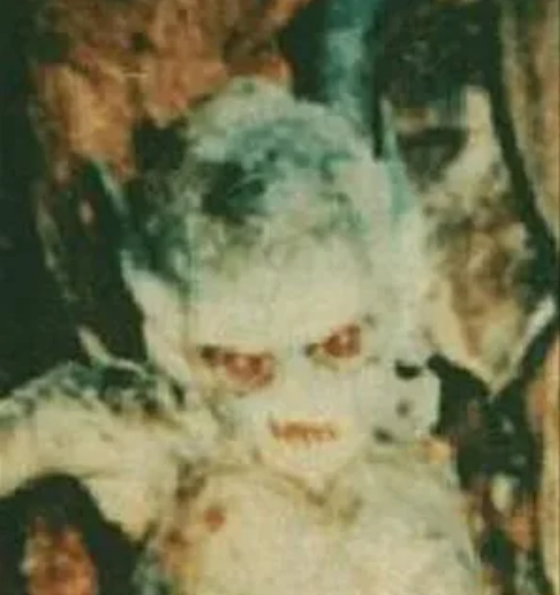 Фото с сайта - http://ebaumsworld.com