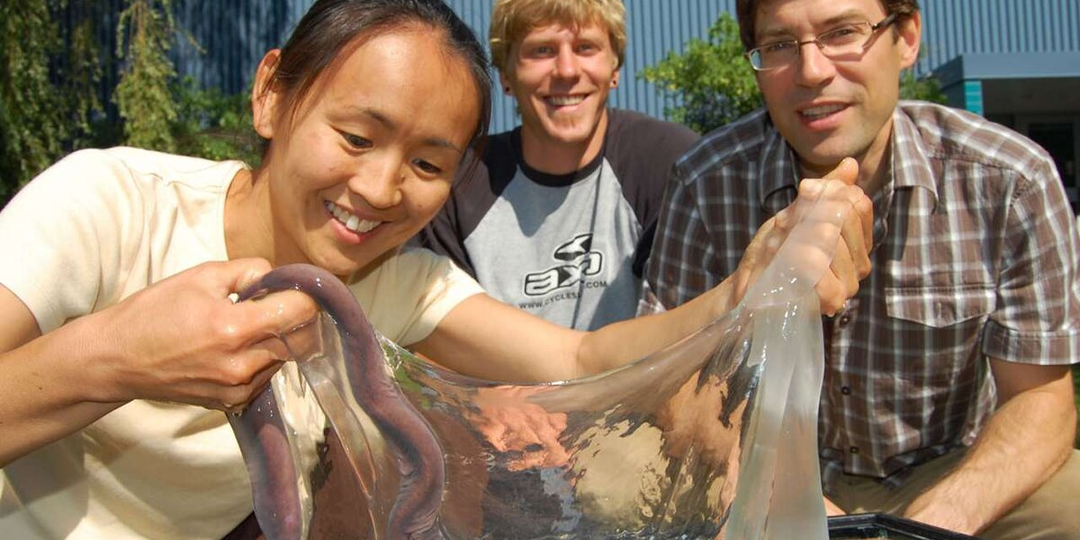 Миксина: Они душат акул изнутри. Неубиваемое нечто, способное «склеить» хищника и человека