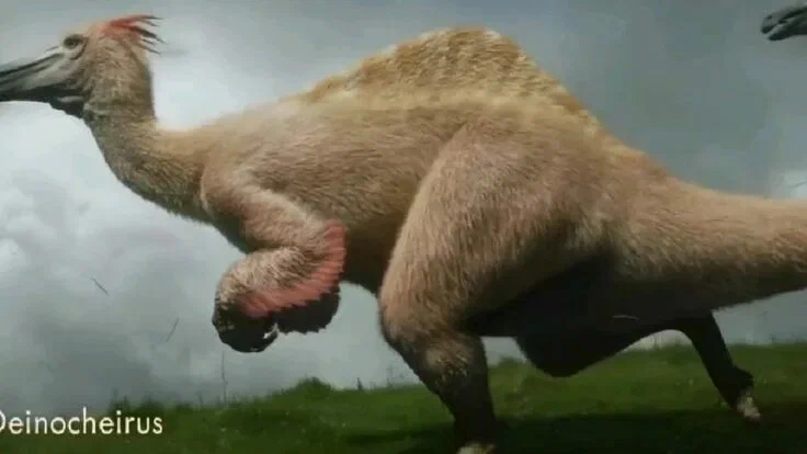 кря! бежим к водопаду кря!