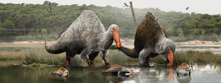 кря! мы так похоже на утят кря! особенно в воде кря!