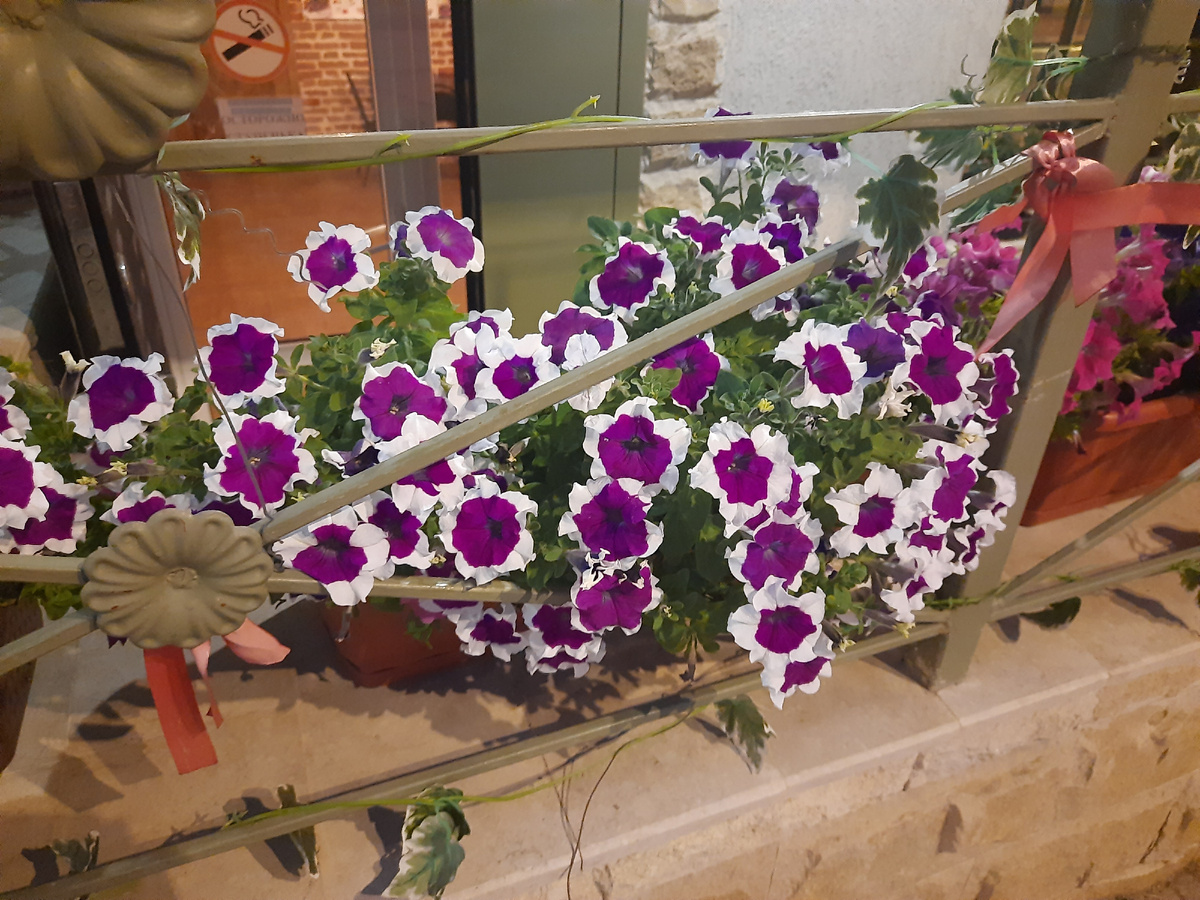 Армавир 2025 год