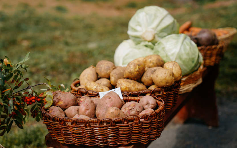    Картофель и капуста подешевели в Удмуртии за неделю