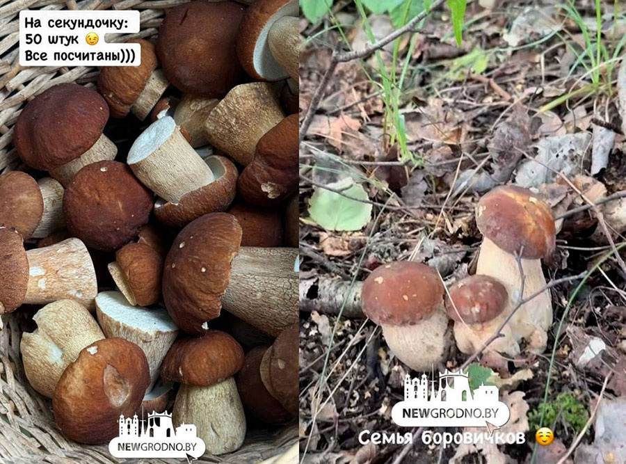    Фото: Newgrodno.by