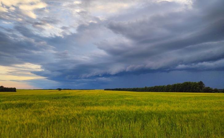    фото Курские известия