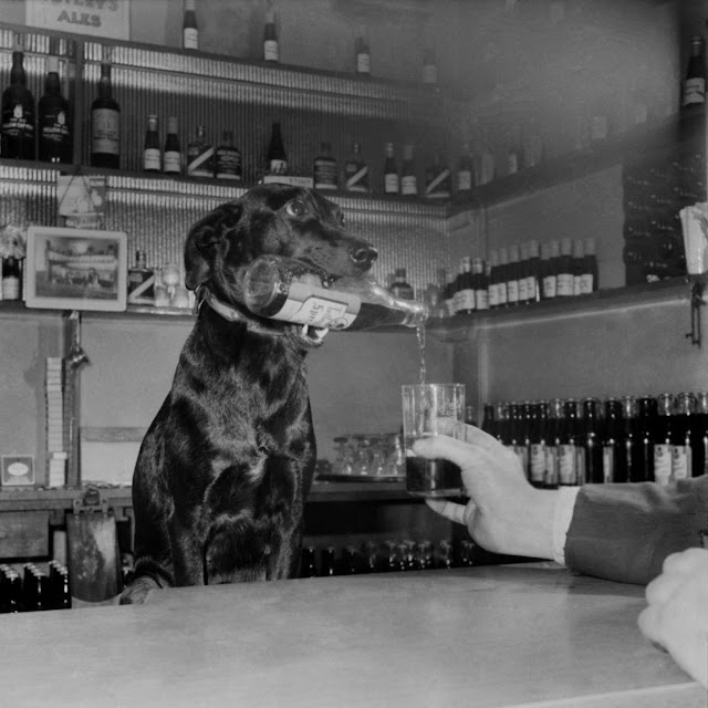 Источник: www.vintag.es