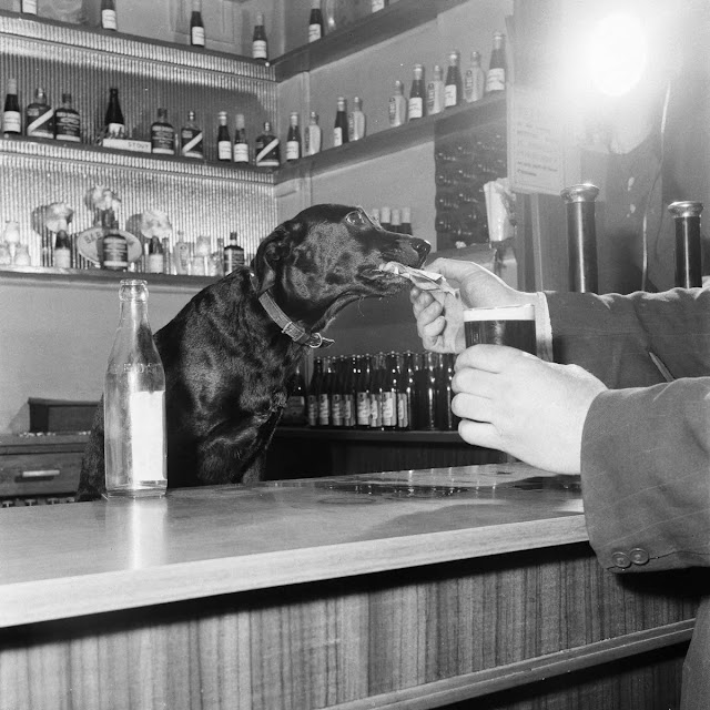 Источник: www.vintag.es