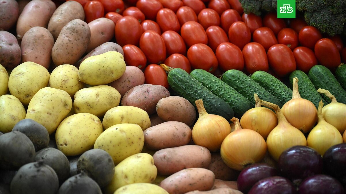    Фото: РИА Новости © 2025, Владимир Астапкович