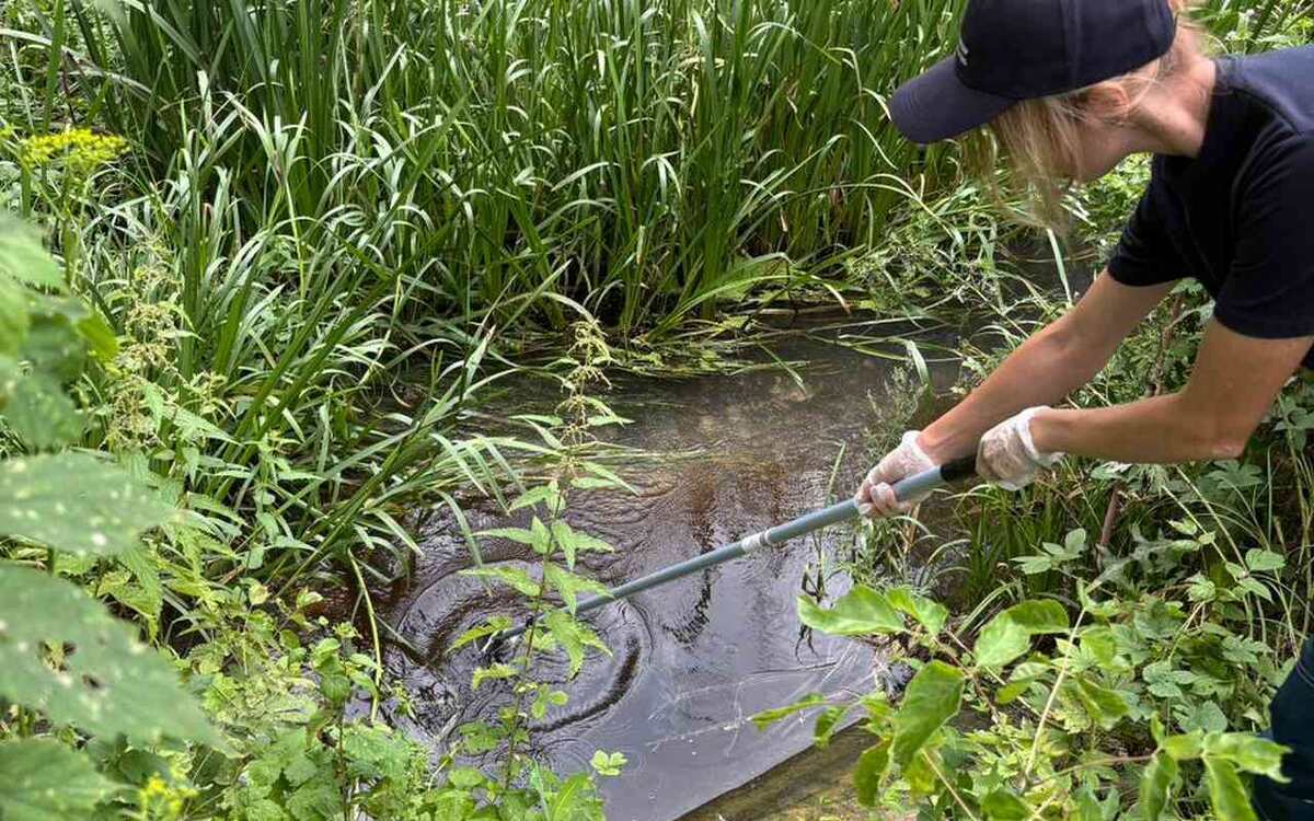    Крупнейшего сельхозпроизводителя «Авангард-Агро-Воронеж» проверят на сброс сточных вод в реку Полубянка Фото: Минприроды Воронежской области