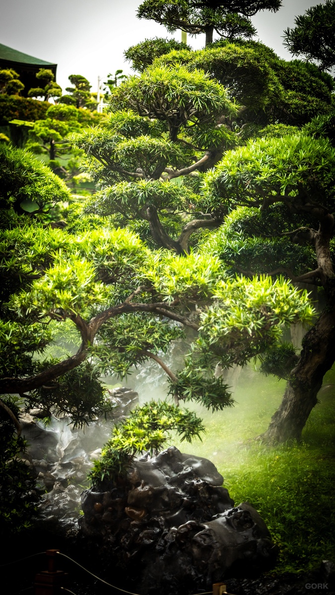 Project: Chi Lin & Nan Lian | Geo: Hong Kong, CH