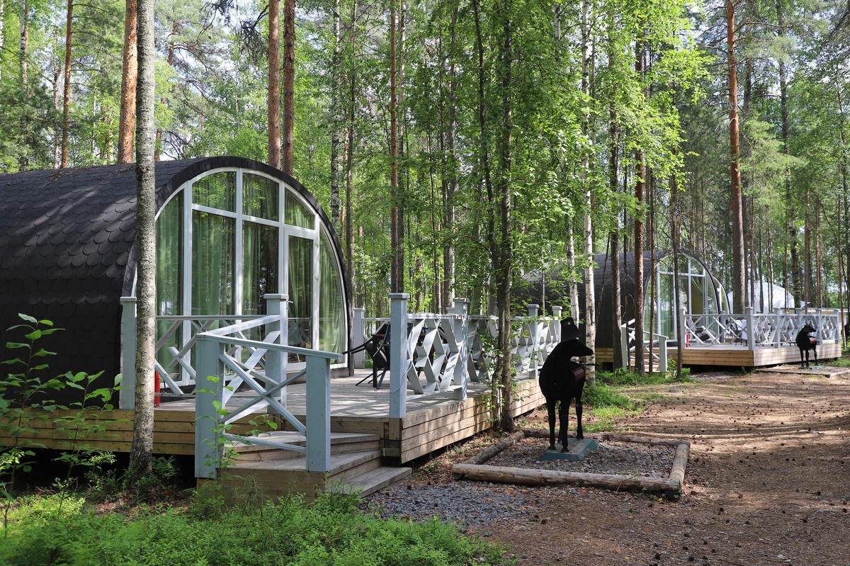 Листайте вправо, чтобы увидеть больше изображений