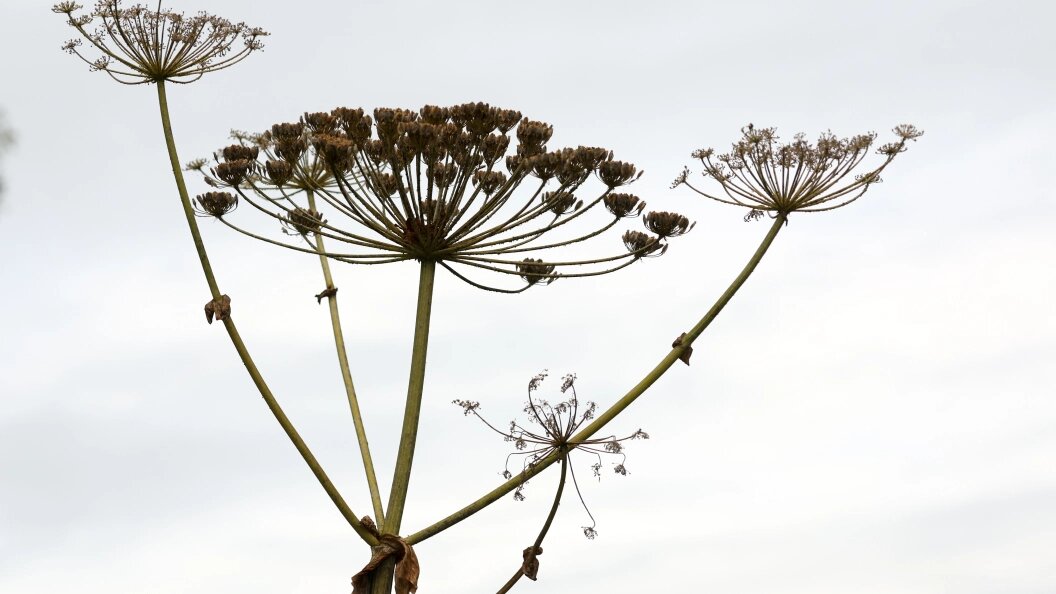    Petrov Sergey/news.ru/Globallookpress