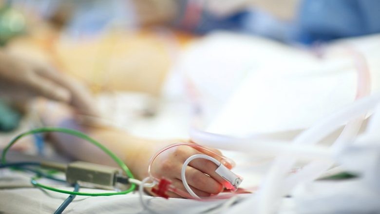 Фото stock.adobe.com