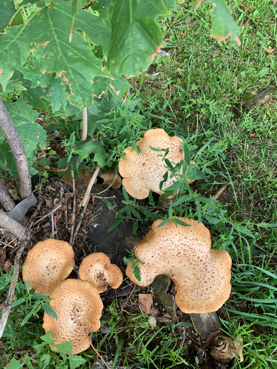 Фото автора канала