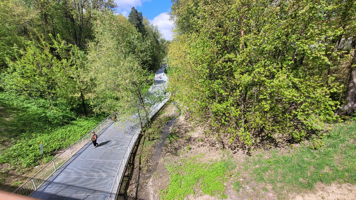 был овраг - стала аллея!