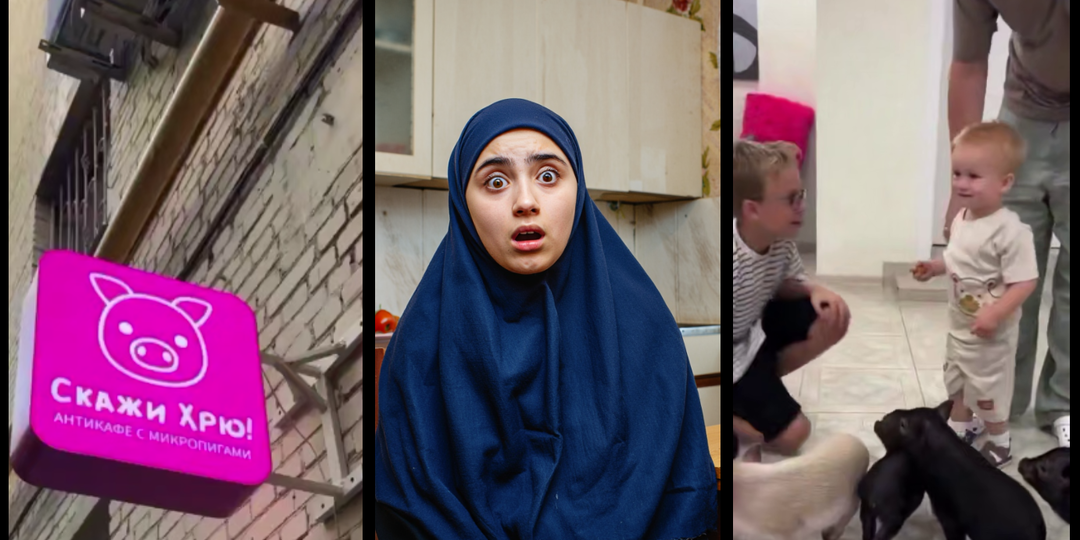 Амина не поверила своим глазам, когда в Москве в её доме открылось кафе со свиньями: мигом собралась продавать квартиру