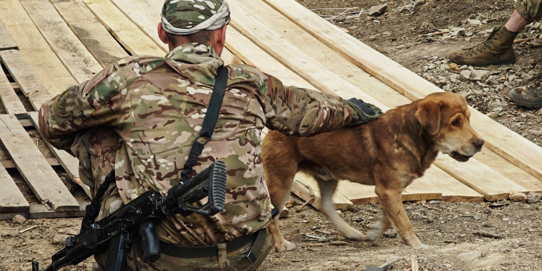 Замахнёмся на мечту? 🙂 Цитата: "У меня три мечты: поспать, помыться и выжить."©