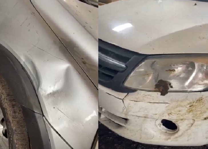    Фото: Юлия Романова, vk.com