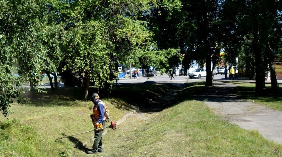    Покос травы и чистка дорог в Барнауле. Источник: barnaul.org