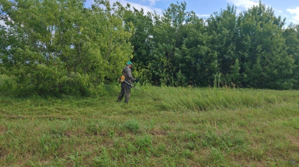    Покос травы и чистка дорог в Барнауле. Источник: barnaul.org