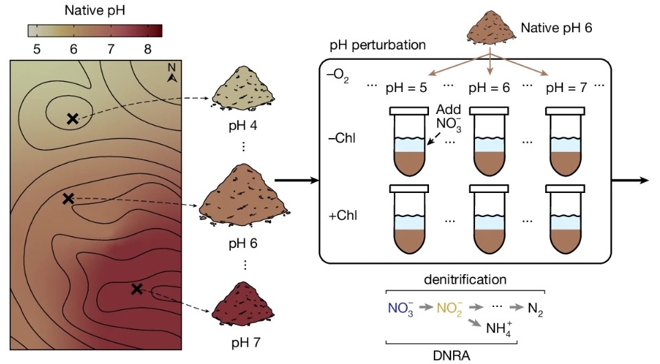   Kiseok Lee et al. / Nature, 2025