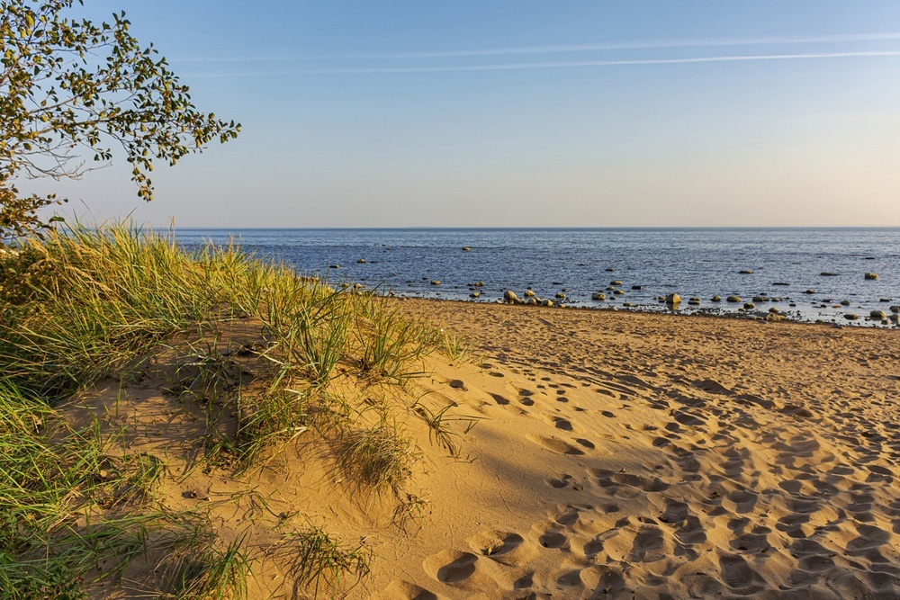    Места отдыха в Курортном районе "Комаровский". / Фото: iStock