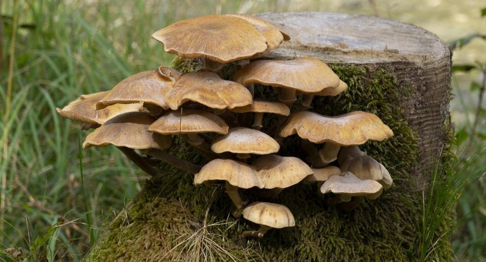    Wilfried Wirth/http://imagebroker.com/#/search/ / www.globallookpress.com